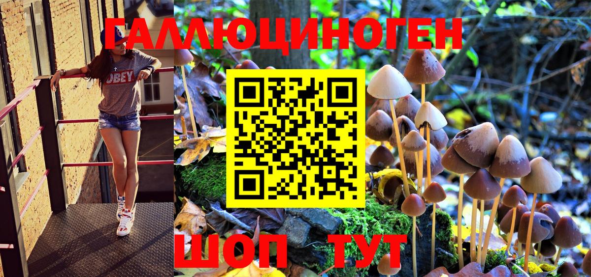 Псилоцибиновые грибы Psilocybe Саранск
